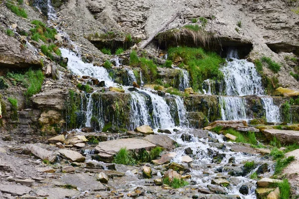 yeşil çimen, yosun ve kaldırım taşları taşlarla etrafında yere gelen bahar emzik. motion.summer, Rusya Federasyonu sudur
