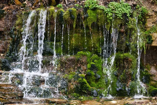 Water Source Spring Fountain Stream Beating Stone Wall Covered Green — Stock Photo, Image