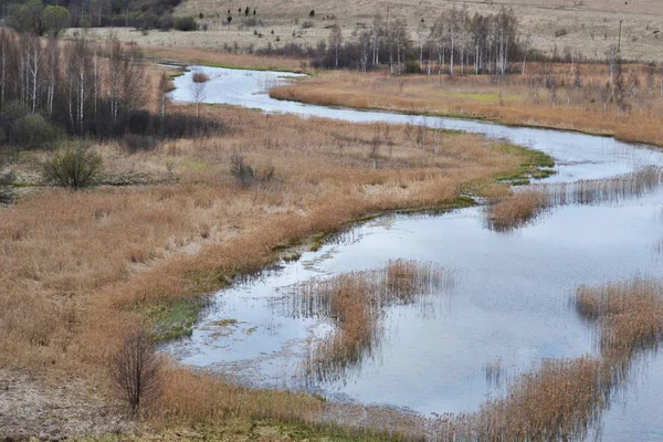 Sarma nehir ağaçlar, çalılar ve aşağılarda bahar zamanı alanında çimenlerde arasında. Rusya, Izborsk.