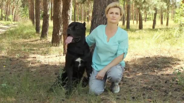 Hermosa Mujer Bosque Verano Coníferas Con Amado Perro Cane Corso — Vídeos de Stock