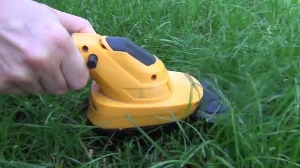 여성의 치아가있는 노즐이있는 노란색 몸체가있는 트리머가있는 클리어링에서 잔디를 자른다 — 비디오