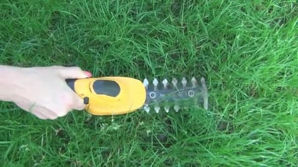 Woman Handles Green Lawn Clearing Electric Trimmer Yellow Body Long — Stock Video