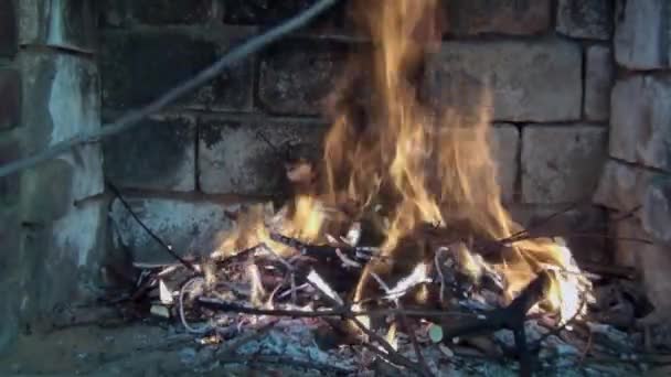 Uma Bela Fogueira Queima Churrasco Uma Mão Homem Joga Ramos — Vídeo de Stock