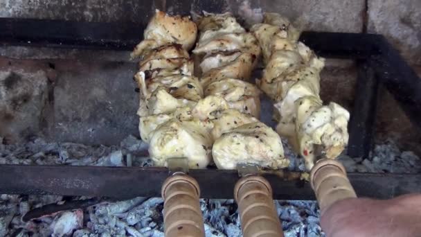 Kebabs Cuisson Sur Feu Barbecue — Video