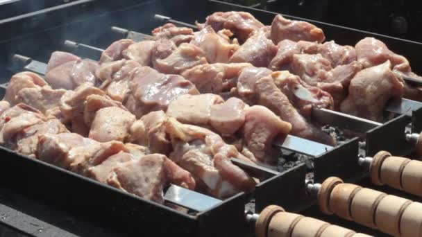 Spiedini Rotazione Automatica Barbecue Pezzi Carne Maiale Agnello Alla Griglia — Video Stock