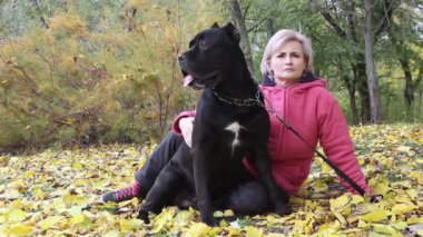 Güzel genç bir kadın, açık bir sonbahar gününde parkta, ağaçlardan yere düşen sarı yaprakların arasında, soyundan gelen büyük siyah köpeği Cane Corso ile dinleniyor.
