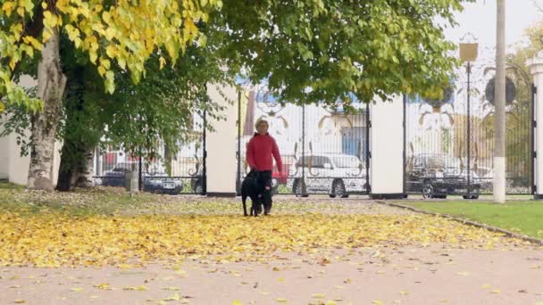 Having Good Time Clear Autumn Day Happy Beautiful Young Woman — Stock Video