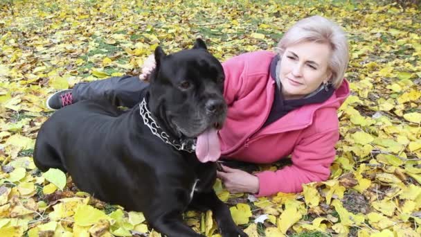 Hermosa Joven Día Claro Otoño Descansando Parque Con Amado Perro — Vídeos de Stock