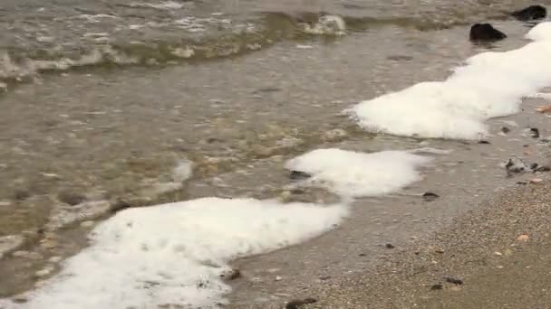 Een Herfstdag Rollen Blauwe Golven Van Rivier Tegen Rotsen Creëren — Stockvideo