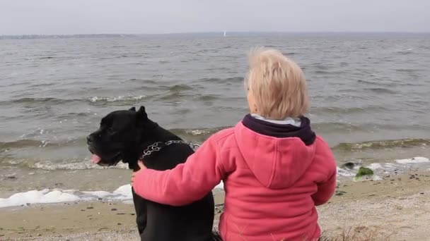Sonbahar Günü Güzel Bir Kız Irkın Büyük Köpeği Cane Corso — Stok video