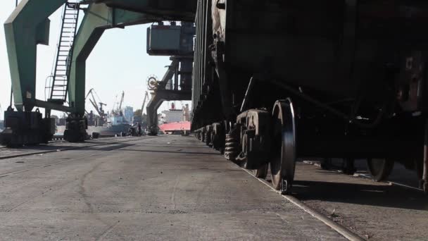 Auf Bahngleisen Hafen Warten Eisenbahnwaggons Unter Kränen Auf Ihre Verladung — Stockvideo