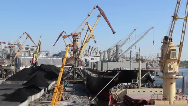 Ukraina Odessa Września 2019 Ładowanie Masowców Suwnicami Bramowymi Ukraina Port — Wideo stockowe