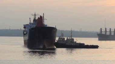 Rıhtıma gitmek için büyük bir kargo gemisini demirleyen bir römorkör. Limanın limanında bir kargo gemisi, bir mavna ve bir römorkör birbirlerine doğru yol alıyorlar. Akşam vakti. Gün batımı