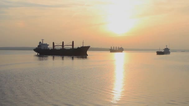 Grote Vrachtschepen Voor Anker Zonsondergang Avond Kalme Zee Grote Schip — Stockvideo