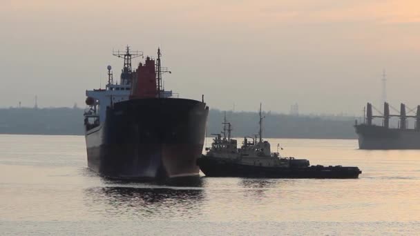 Een Sleepboot Die Een Groot Vrachtschip Aanmeert Voor Vervoer Naar — Stockvideo