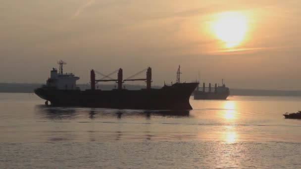 錨泊日の夕方穏やかな海での大型貨物船 大きな船の海岸オレンジの夕日 海上輸送船 美しいオレンジの夕日 — ストック動画