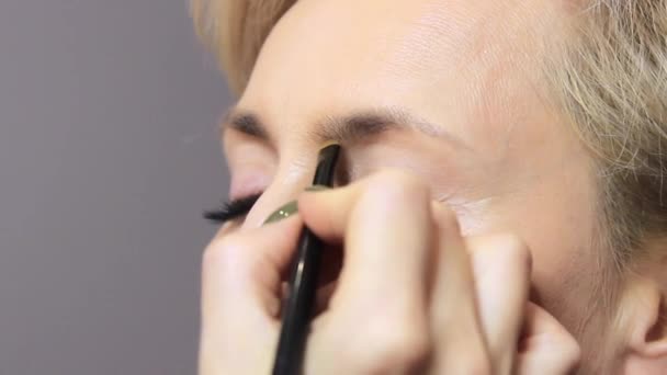 Salon Beauté Stylisme Professionnel Correction Plastification Des Sourcils Des Femmes — Video