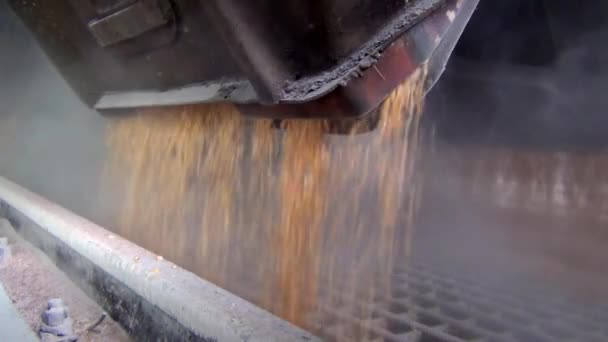 谷物在电梯的火车上从货车上接收 谷物在美丽的水流中流动 — 图库视频影像