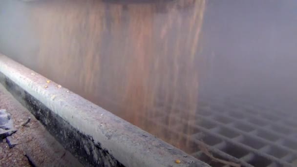 Прием Зерна Грузового Вагона Железной Дороге Лифта Зерно Течет Красивом — стоковое видео