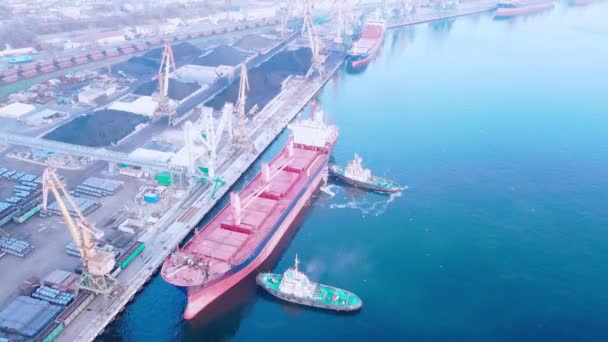 Two Tugs Doing Work Mooring Large Cargo Ship Loading Grain — Stock Video