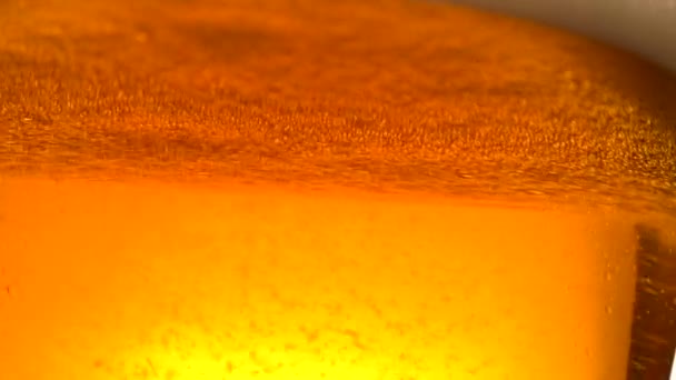 Bier bubbels extreme close-up — Stockvideo