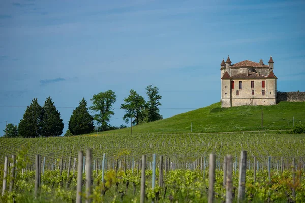 Bağ Chateau Monbadon Bordeaux Bölgesi France Europe — Stok fotoğraf