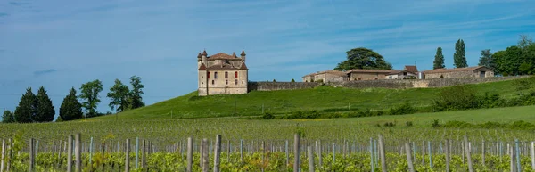 Vinice Chateau Monbadon Evropa Kraj Francie Bordeaux — Stock fotografie
