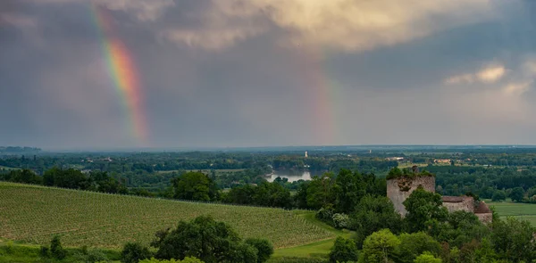 Colorful rainbow and storm in the sky above bordeaux vineyard