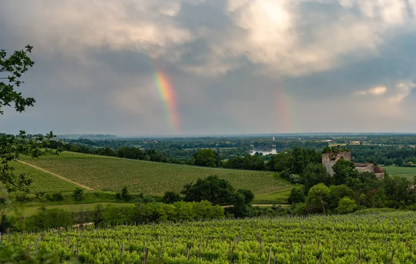 Renkli gökkuşağı ve bordeaux üzüm yukarıda gökyüzü fırtınada — Stok fotoğraf