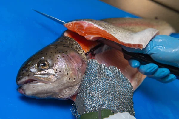 Skära öring filéerna på en fiskodling, Frankrike — Stockfoto