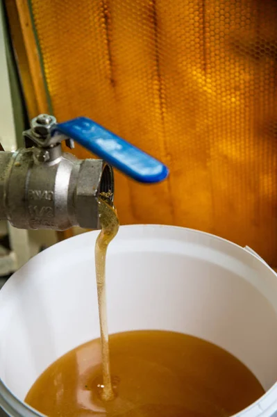 Процедите Пропитанный Медом Решето Собирать Мед Filtering Raw Honey France — стоковое фото