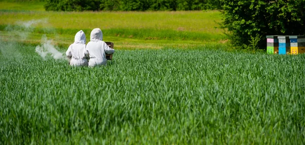Biodlaren Arbetande Samla Honung Biodling Konceptet Frankrike — Stockfoto