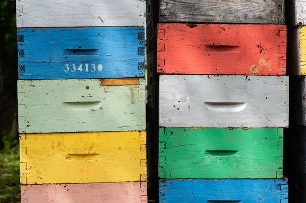 Beekeeping Boxes Stacked Ready Transported France — Stock Photo, Image