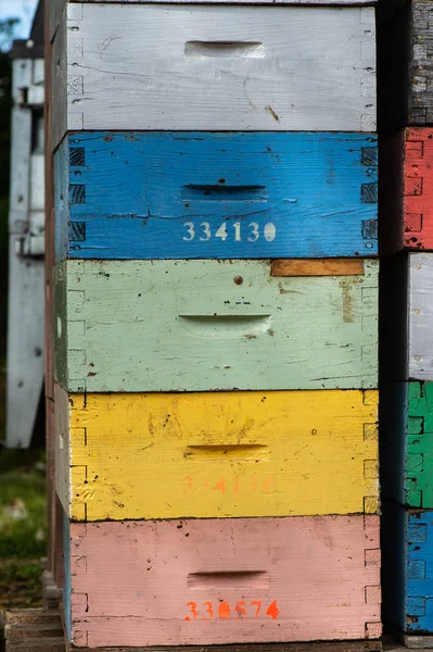 Caixas Apicultura Empilhadas Prontas Para Serem Transportadas França — Fotografia de Stock