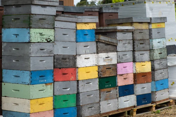 Beekeeping Boxes Stacked Ready Transported France — Stock Photo, Image