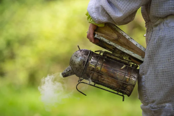 Oude Bee Roker Bijenteelt Hulpmiddel Sring Een Bijenteelt Frankrijk — Stockfoto