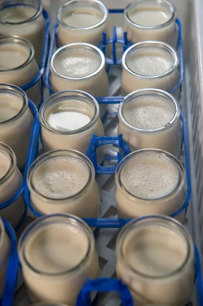 Productie Van Yoghurt Een Farm Zelfgemaakte Koe Melk Yoghurt Frankrijk — Stockfoto