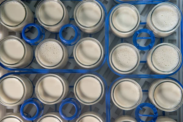 Производство Йогурта Ферме Домашний Йогурт Коровьего Молока Франция — стоковое фото