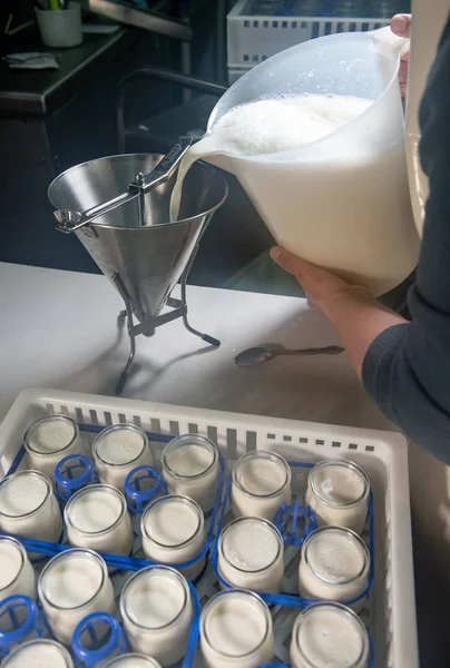 Виробництво Йогурт Фермі Домашнє Коров Ячого Молока Йогурт Франції — стокове фото