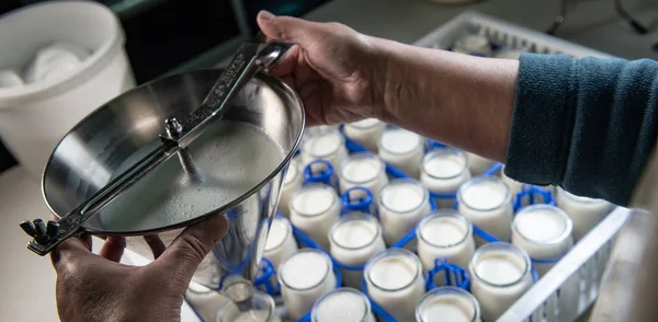 Производство Йогурта Ферме Домашний Йогурт Коровьего Молока Франция — стоковое фото