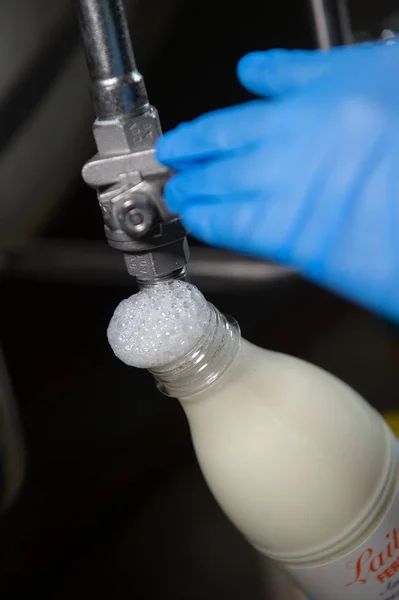 Gieten Melk Van Koe Fles Boerderij Frankrijk — Stockfoto