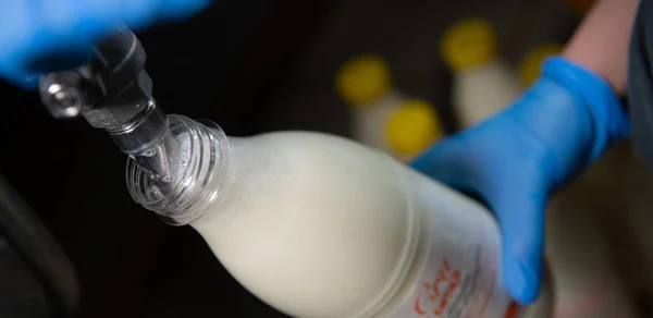 Gieten Melk Van Koe Fles Boerderij Frankrijk — Stockfoto