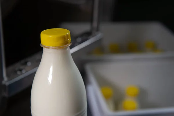 Gieten Melk Van Koe Fles Boerderij Frankrijk — Stockfoto