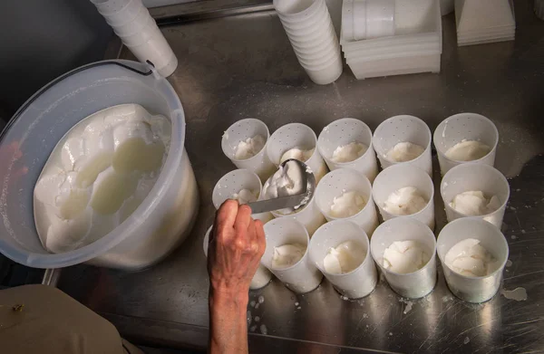 Производство Сыра Традиционным Способом Жиронда Франция — стоковое фото