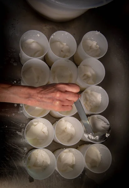 Making Cheese Traditional Way Gironde France — Stock Photo, Image