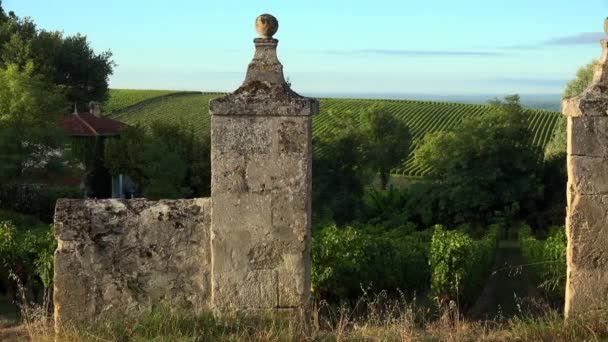 Bordeaux Weinberg Landschaft Weinberg Südwestlich Von Frankreich Gironde — Stockvideo