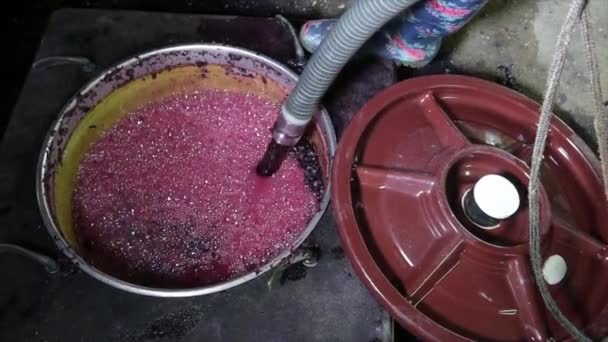 Mélange de vin pendant le processus de fermentation — Video