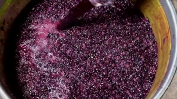 Mezcla de vino durante el proceso de fermentación — Vídeo de stock