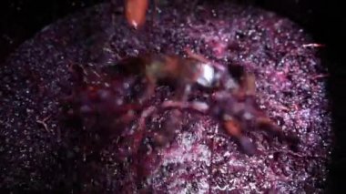 Şarap varil Fermantasyon işlemi sırasında Bordeaux üzüm karıştırma