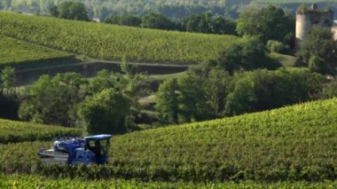 Üzüm hasat makineleri bağ, Bordeaux, Gironde, Langoiran içinde